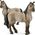 Figurka Schleich Klacz criollo definitivo