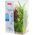 Zolux Plantkit Idro N°4