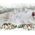 Fischer Ankeris su varztu FSA S 12/25 12x91 mm