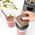 Blender kielichowy Sencor SBU 7676GD