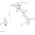 Neomounts Uchwyt biurkowy na monitor 17" - 49" (DS70PLUS-450WH1)