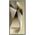 Samsung Etui Samsung Clear Gadget Case Galaxy S24 Ultra przezroczyste