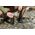 Katadyn Katadyn BeFree Filter 1.0 L Tactical, black