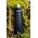 Katadyn Katadyn BeFree Filter 1.0 L Tactical, black