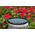 Filtr Hoya Hoya Fusion Antistatic Next CIR-PL 55mm