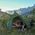 Namiot turystyczny Naturehike Naturehike Namiot Cloud Up 1 20D Updated NH18T010-T-Forest Green