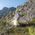 Namiot turystyczny Naturehike Naturehike Namiot Cloud Up 1 20D Updated NH18T010-T-Forest Green