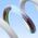 Kabel USB Baseus USB-C - USB-C 1 m Biały (1024213)