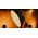 Lampa studyjna Aputure Aputure Light Dome 150