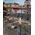 Lampa stołowa Sompex Sompex BORO black Battery-operated Outdoor Light