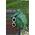LittleLife LittleLife  plecaczek 2 litry - krokodyl
