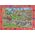 Trefl Puzzle 100 elementów Obserwacyjne Spy Guy Miasto