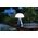 Lampa stołowa Lexon Lexon Mina L Lampa LED granatowy/navy LH65MDB