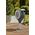 Gardena GARDENA patio hose box RollUp M, 20 meters, hose reel (grey/white, incl. cleaning syringe)