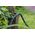 Gardena GARDENA textile hose Liano Xtreme 1/2, 15 meter set (dark grey/orange, model 2023, incl. cleaning syringe, 2 tap connectors)
