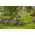 Gardena GARDENA sprinkler tripod 18735-20, holder (black, height 50cm)