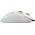 Mysz Glorious PC Gaming Race Model D Glo  (GD-GWHITE)