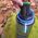 SteriPen Steripen Adventurer Opti UV Water Purifier
