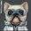Nimmy iPhone 15 6.1" case black/black Cool&Cute 2.0 Dog