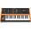 Behringer Behringer POLY D Syntezator analogowy