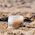 ALPHANOVA SUN Alphanova Sun Beauty, Bio Scrub με κρεμώδη σύσταση, 200 ml 14073179 3760075072469
