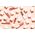 WET N WILD_Cloud Pout Lip Mousse ματ lip gloss Marsh To My Mallow 2,3ml 14007658 77802119247