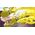 GAME SPLATOON 3 (UK4) 13763520 45496510695