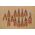 ΠΕΝΕΣ ΚΟΠΗΣ ΚΑΛΩΔΙΟΥ Milwaukee MILWAUKEE max 12mm. 13858339 45242356140