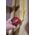 Milwaukee MILWAUKEE ROLLING MEASURE 5m SLIM S5 16/25 13763461 45242512935
