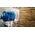 Bosch BOSCH hole saw ToughMaterial 32mm - 2608900422 EXPERT RANGE