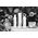 PAUL MITCHELL Paul Mitchell, Extra-Body, Χωρίς Paraben, Σπρέι Μαλλιών, Σφιχτό Φινίρισμα, Extreme Hold, 300 ml για γυναίκες 13321728 9531118666