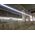 Λωρίδα LED AS Schwabe σε πηνίο AS-SCHWABE 25m 37500lm Λωρίδα LED 14186477 4011160467141