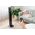 Wentylator Sencor SFT 4207BK