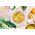 Forestia Wegańskie curry z zielonej soczewicy, 350g, [Vegsillia green'lentil curry - SH]