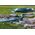 Vartco Garden hose 1/2" 25m 3-ply LIGHT Vartco LIGHT 1001120025