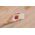 Shelly Shelly Plug & Play "Blu Wall" Switch 4 Wandtaster 4-fach 16 Aktionen Weiß