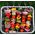 GRILL PIKNIKOWY JEDNORAZOWY 600G 31x24x4,8cm