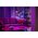 WiZ WiZ,Globe,6,3W,2200-6500 (RGB),G95,E27,1 pcs lightsource