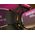 Amaran Amaran Light Dome mini SE