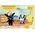 HarperCollins Bing Ciuchcia d/toalety Zabawy i zadania ... 87449