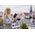 Gardena GARDENA ClickUp! Lantern, lamp (black/transparent, for ClickUp! handle)