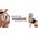 InnovaGoods InnovaGoods Safety Bath Grab Handle Saath