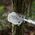 Nils Extreme NC1752 SAPERKA MULTIFUNKCYJNA ULTRA LIGHT NILS CAMP