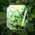 Bizon Glass Hydrogel Apple Watch 8/7 41mm [2 PACK]