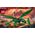Ninjago Zielony leśny smok Lloyda (71829)