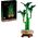 Botanicals Dracena sandera (10344)