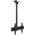 Edbak EDBAK | Ceiling mount | MBV1155-L | 42-57 " | Maximum weight (capacity) 70 kg | Black