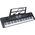 Lean Sport MQ 601 UFB keyboard klawisze organy z mikrofonem dla dzieci