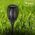 Saska Garden Lampa Ogrodowa Solarna Pochodnia Efekt Płomienia wys. 79cm, 33LED