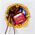 Shelly Shelly Relais "Wave 1PM Mini" Z-Wave 13691606 3800235269145